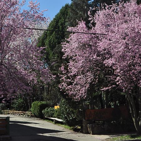 Apart Hotel La Bora San Martín de los Andes Eksteriør billede