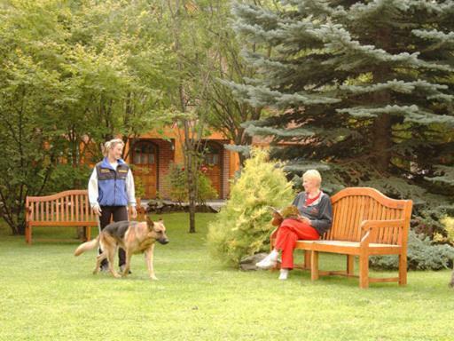 Apart Hotel La Bora San Martín de los Andes Eksteriør billede